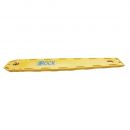 Spencer Spineboard Rock Pin